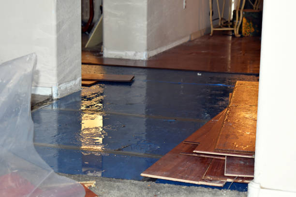 Professional Flood Cleanup technician working in Chichester, NH